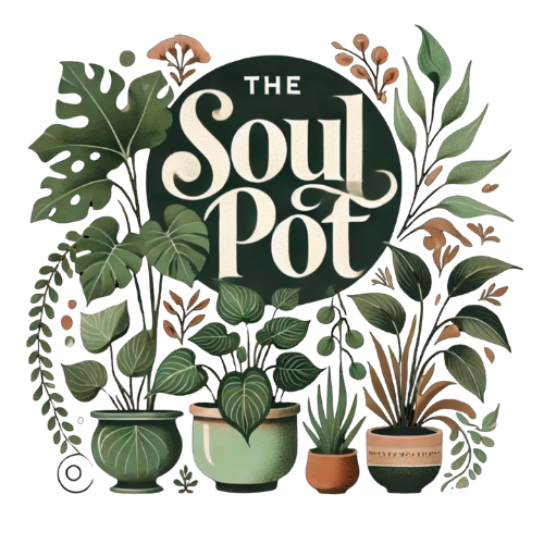 The Soul Pot